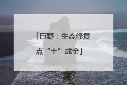 巨野：生态修复点“土”成金