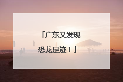 广东又发现恐龙足迹！