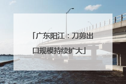 广东阳江：刀剪出口规模持续扩大