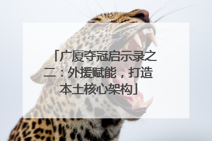 广厦夺冠启示录之二：外援赋能，打造本土核心架构
