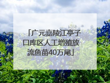 广元嘉陵江亭子口库区人工增殖放流鱼苗40万尾