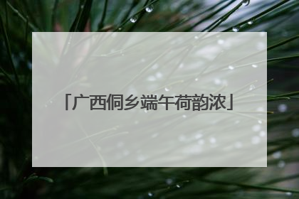 广西侗乡端午荷韵浓