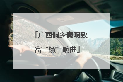 广西侗乡奏响致富“椒”响曲