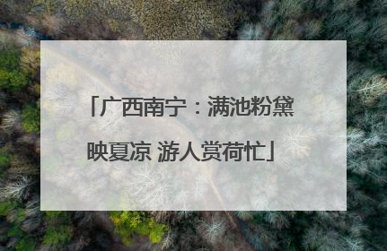 广西南宁：满池粉黛映夏凉 游人赏荷忙