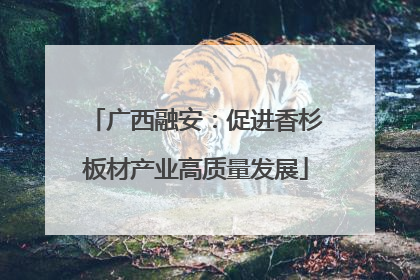 广西融安：促进香杉板材产业高质量发展