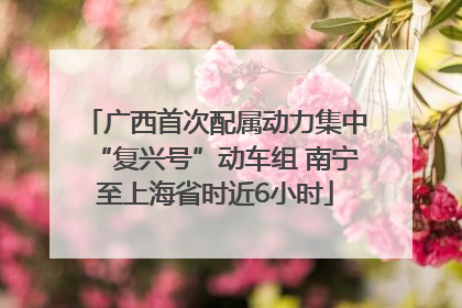 广西首次配属动力集中“复兴号”动车组 南宁至上海省时近6小时
