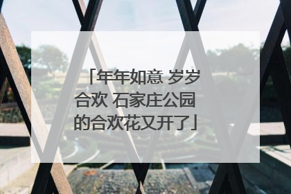 年年如意 岁岁合欢 石家庄公园的合欢花又开了