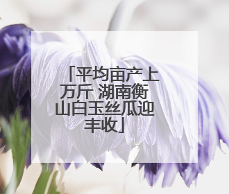 平均亩产上万斤 湖南衡山白玉丝瓜迎丰收
