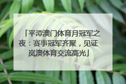 平潭澳门体育月冠军之夜：赛事冠军齐聚，见证岚澳体育交流高光
