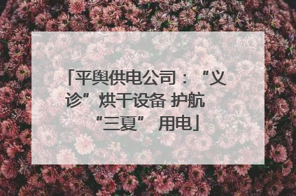 平舆供电公司：“义诊”烘干设备 护航 “三夏” 用电
