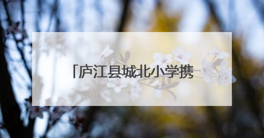 庐江县城北小学携手社区开展“我爱我家，我爱合肥，礼让文明”实践活动