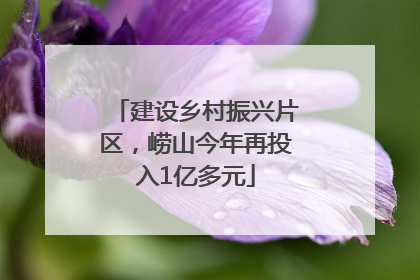 建设乡村振兴片区，崂山今年再投入1亿多元