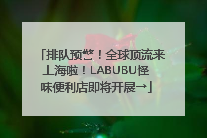 排队预警！全球顶流来上海啦！LABUBU怪味便利店即将开展→