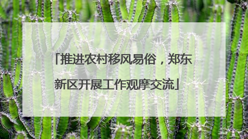 推进农村移风易俗，郑东新区开展工作观摩交流