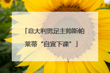 意大利男足主帅斯帕莱蒂“自宣下课”