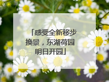 感受全新移步换景，东湖荷园明日开园