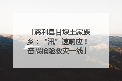 慈利县甘堰土家族乡：“汛”速响应！奋战抢险救灾一线
