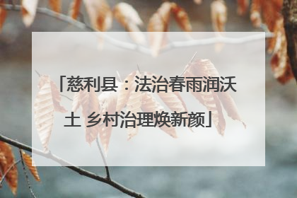 慈利县：法治春雨润沃土 乡村治理焕新颜