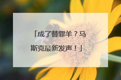 成了替罪羊？马斯克最新发声！