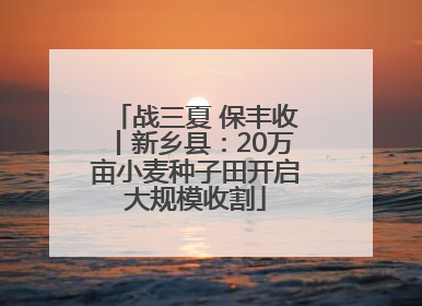 战三夏 保丰收丨新乡县：20万亩小麦种子田开启大规模收割
