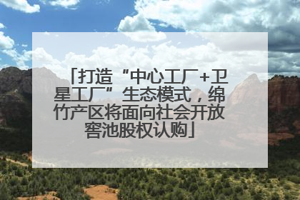 打造“中心工厂+卫星工厂”生态模式，绵竹产区将面向社会开放窖池股权认购