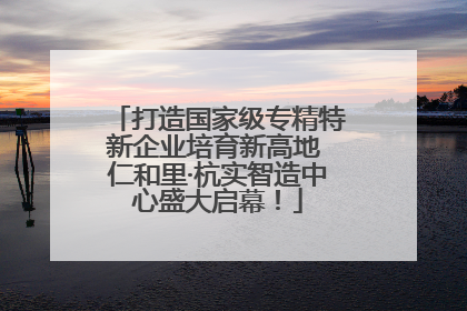 打造国家级专精特新企业培育新高地 仁和里·杭实智造中心盛大启幕！