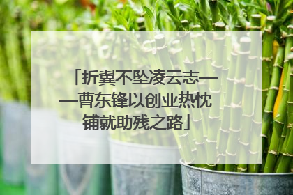 折翼不坠凌云志——曹东锋以创业热忱铺就助残之路