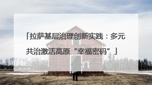 拉萨基层治理创新实践：多元共治激活高原“幸福密码”