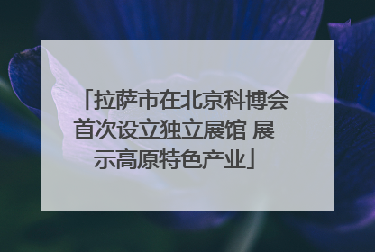 拉萨市在北京科博会首次设立独立展馆 展示高原特色产业