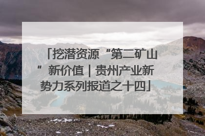 挖潜资源“第二矿山”新价值｜贵州产业新势力系列报道之十四
