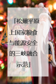 松嫩平原上国家粮食与能源安全的三峡融合示范