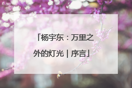 杨宇东：万里之外的灯光｜序言
