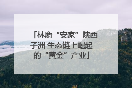 林麝“安家”陕西子洲 生态链上崛起的“黄金”产业