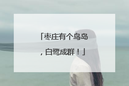 枣庄有个鸟岛，白鹭成群！