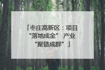 枣庄高新区：项目“落地成金” 产业“聚链成群”