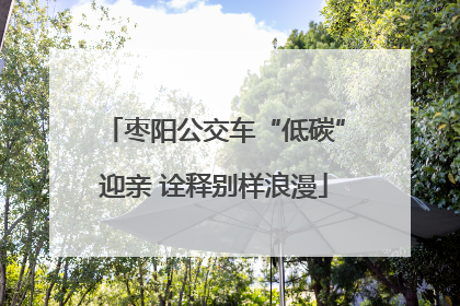 枣阳公交车“低碳”迎亲 诠释别样浪漫