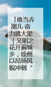 敢当弄潮儿 奋力挑大梁｜文明之花开遍城乡，徐州以昂扬风貌冲刺“万亿之城”