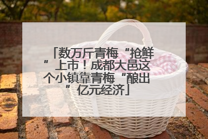 数万斤青梅“抢鲜”上市！成都大邑这个小镇靠青梅“酿出”亿元经济