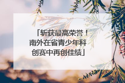 斩获最高荣誉！南外在省青少年科创赛中再创佳绩