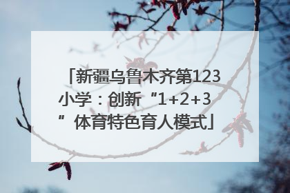 新疆乌鲁木齐第123小学：创新“1+2+3”体育特色育人模式