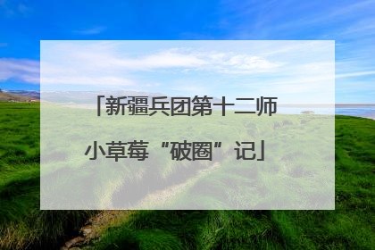 新疆兵团第十二师小草莓“破圈”记
