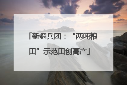 新疆兵团：“两吨粮田”示范田创高产