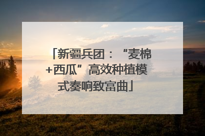 新疆兵团：“麦棉+西瓜”高效种植模式奏响致富曲