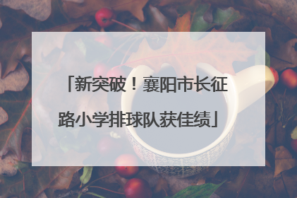 新突破！襄阳市长征路小学排球队获佳绩