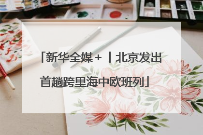 新华全媒＋丨北京发出首趟跨里海中欧班列