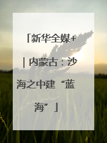 新华全媒+｜内蒙古：沙海之中建“蓝海”