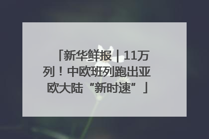 新华鲜报｜11万列！中欧班列跑出亚欧大陆“新时速”
