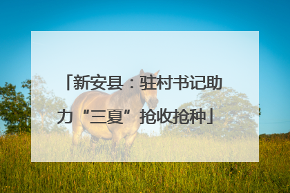新安县：驻村书记助力“三夏”抢收抢种
