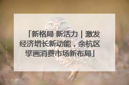 新格局 新活力｜激发经济增长新动能，余杭区擘画消费市场新布局