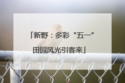 新野：多彩“五一” 田园风光引客来
